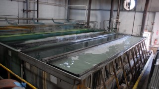 Pretreatment system